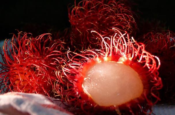 rambutan