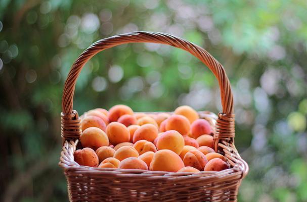 Apricots