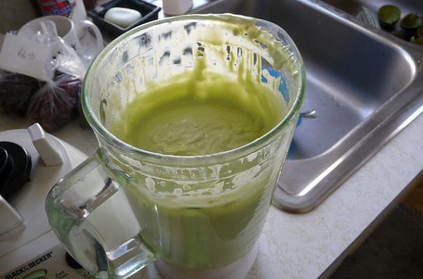 avocado blender