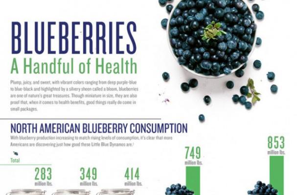 Infographic: Everything You Need to Know About Blueberries 