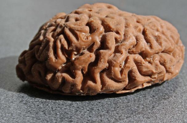 3D Chocolate Brains