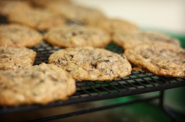 coconut cookies with chocolate chips