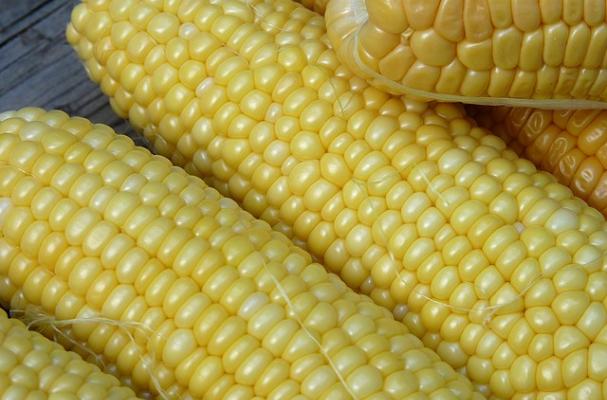 corn