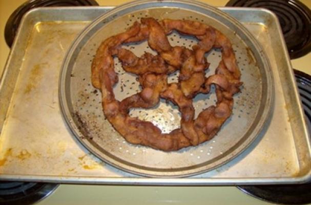 Bacon Dreamcatcher