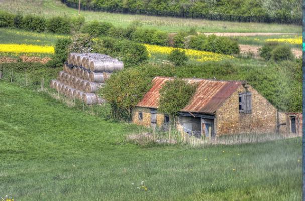 farms