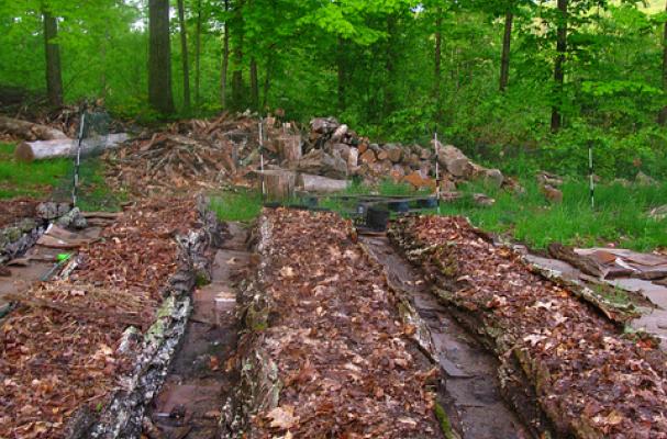 permaculture farm