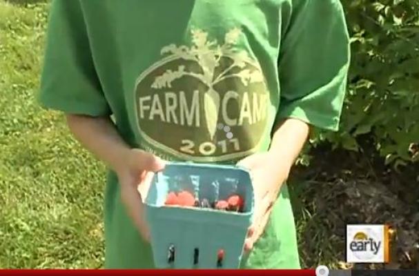 farm camp