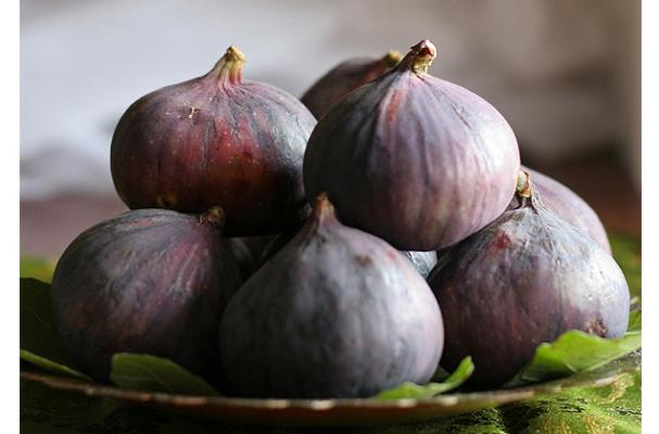 figs