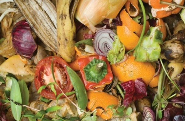 A study says celebrity chefs are fueling food waste.