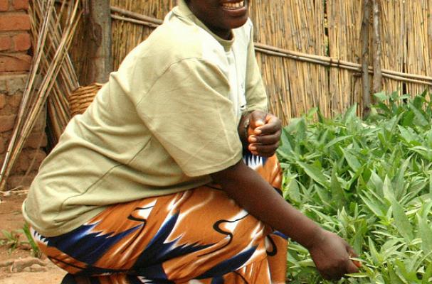 African Gardens