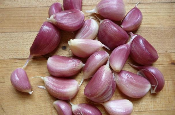 garlic