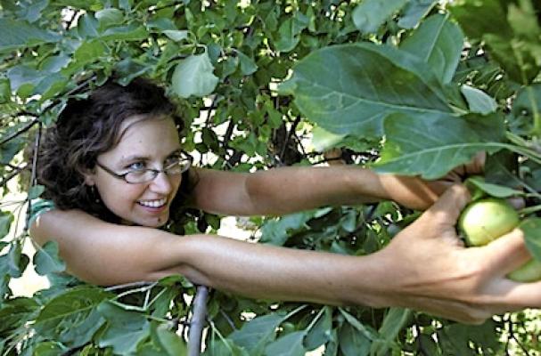 urban farming