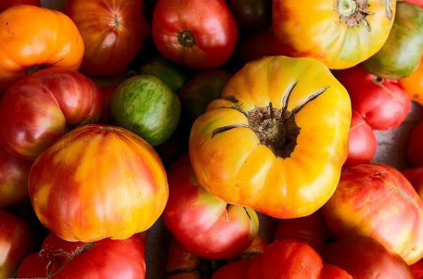 heirloom tomatoes 
