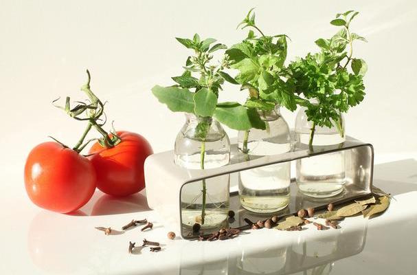 fresh herbs and tomatoes