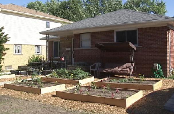 Julie Bass Vegetable Garden 