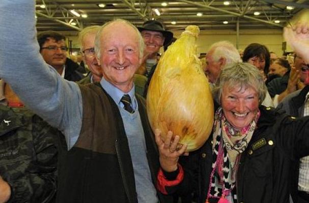 World Record Onion