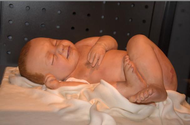 marzipan baby