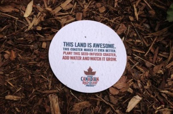 Molson Canadian Plantable Coasters