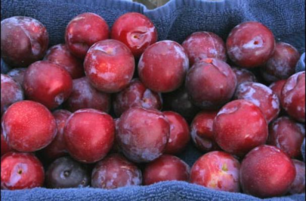 plums