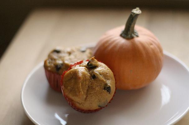 pumpkin chocolate chip muffin