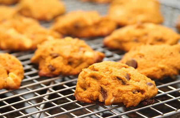 chocolate chip pumpkin cookies