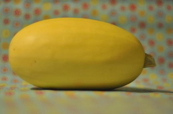 spaghetti squash