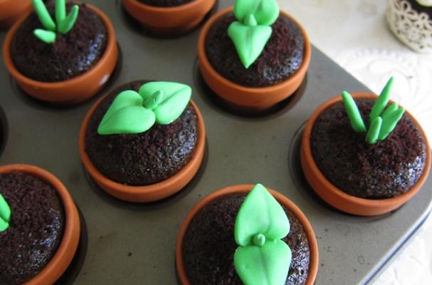 Sachiko Windbiel's Sweet Sprout Fondant Cupcake Toppers