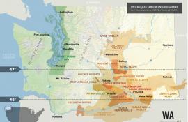 Washington Wine AVA Map