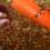 Lentils