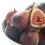 figs