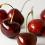 Cherries