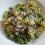 Fusilli with Lemon-Arugula Pesto and Peas