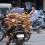Dog Meat Food Festival