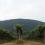 virginia wine country