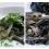 Black Chicken Silkie Silky Bantam Superfood