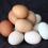 farm fresh eggs