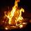 camp fire