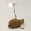 The Vegetable Light Lets Produce Provide Power