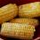 corn on the cob