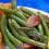Green beans southern style