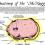 mcnugget anatomy infographic