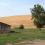 spring valley vineyard walla walla