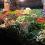 veggies summer
