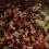 wild rice stuffing with hazelnuts and cranberries