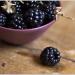 Blackberries