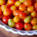 Grape Tomatoes Tainted with Salmonella
