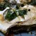 oysters Rockefeller