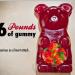 26 pound gummy bear