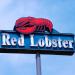 Red Lobster 