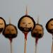 Ned Stark Cake Pops